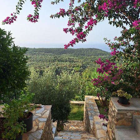 Vila Tatjana Guest House Vuno Exterior photo