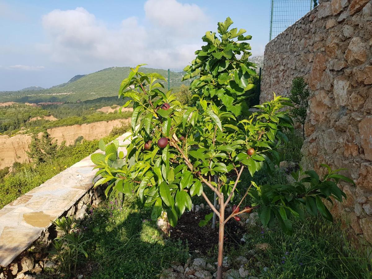 Vila Tatjana Guest House Vuno Exterior photo