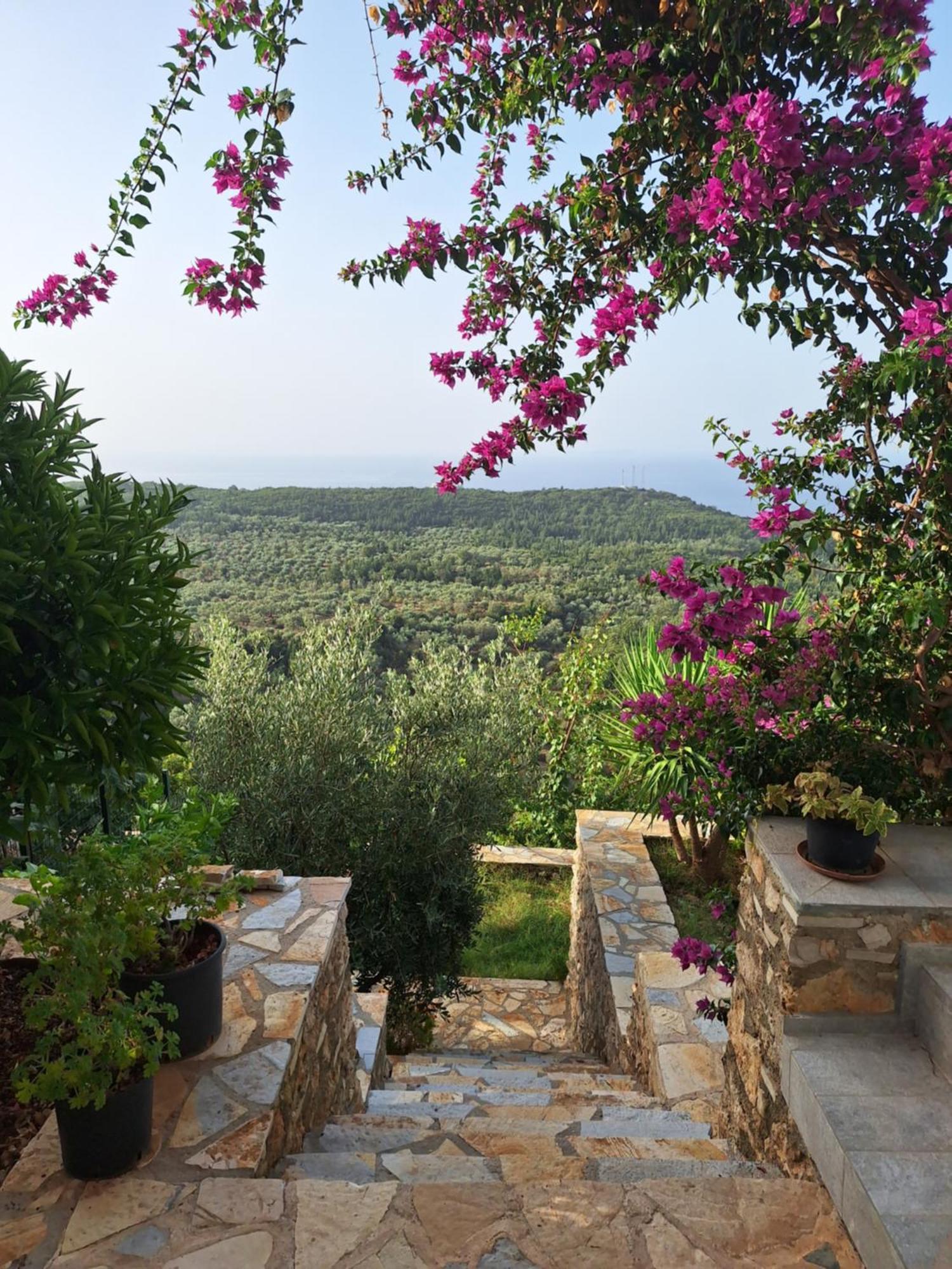Vila Tatjana Guest House Vuno Exterior photo